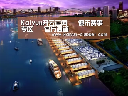 案例展示八