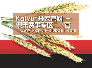 Kaiyun开云官网 - 俱乐赛事专区 - 官方通道