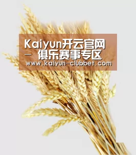 Kaiyun开云官网 - 俱乐赛事专区 - 官方通道
